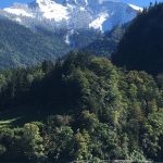 Schafberg im September